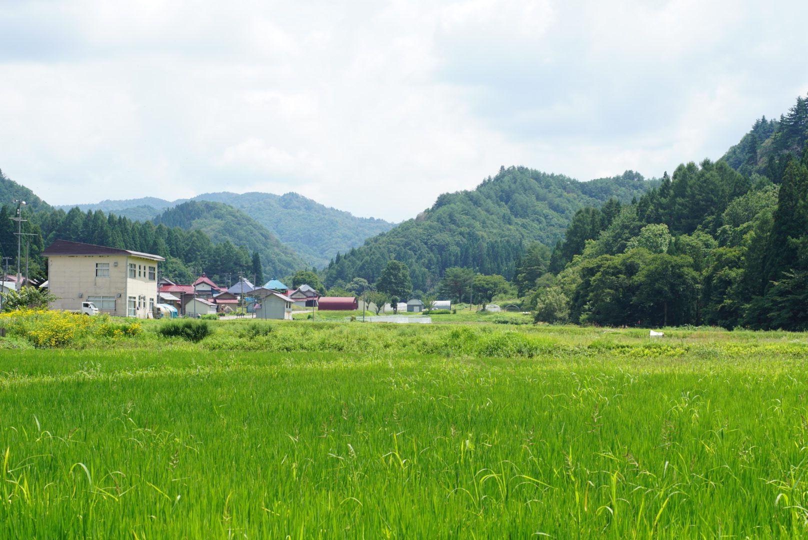 福島県昭和村・小野川の山々と田畑が広がる夏の風景