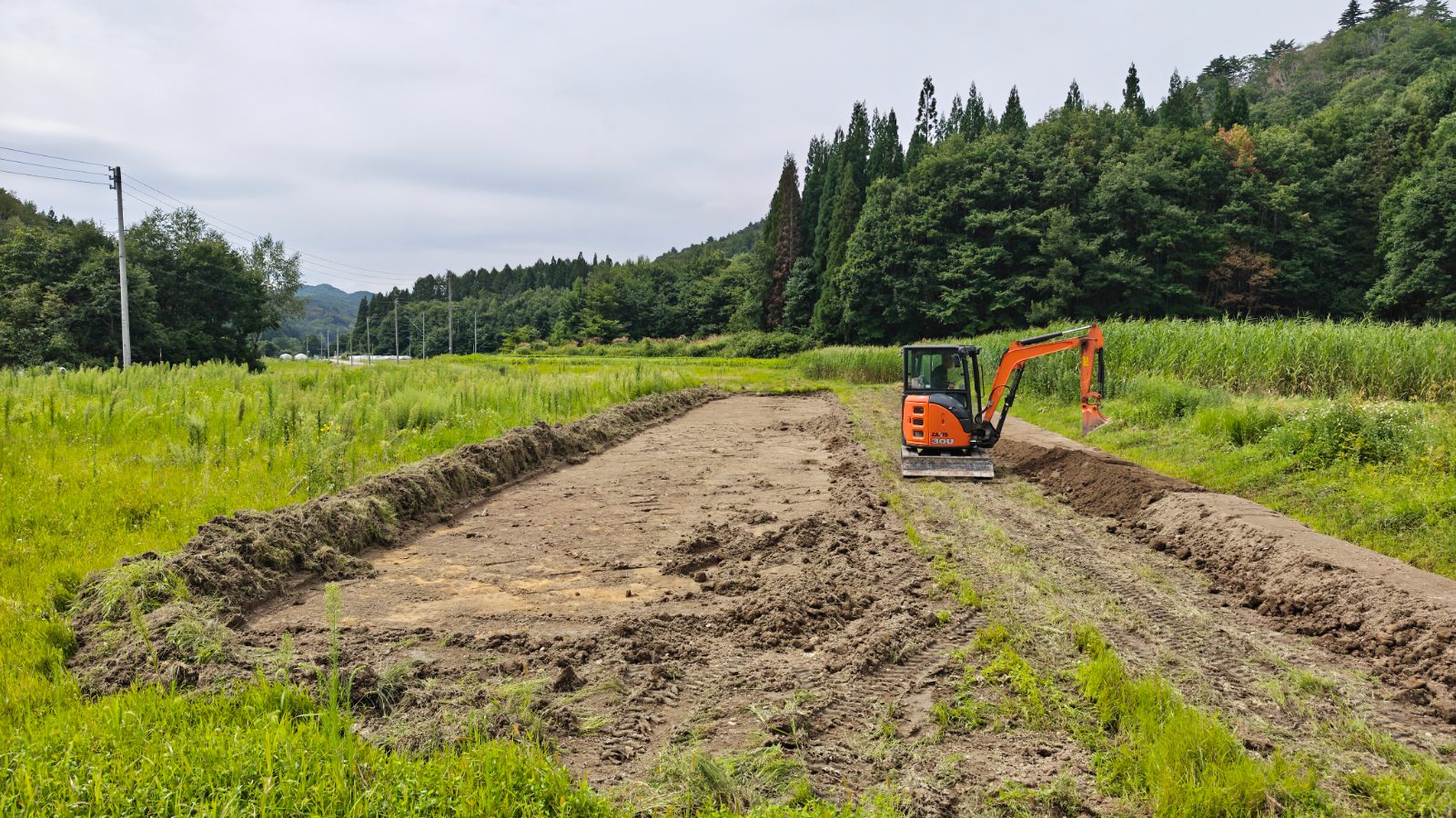 重機を使って耕作放棄地を再生する様子