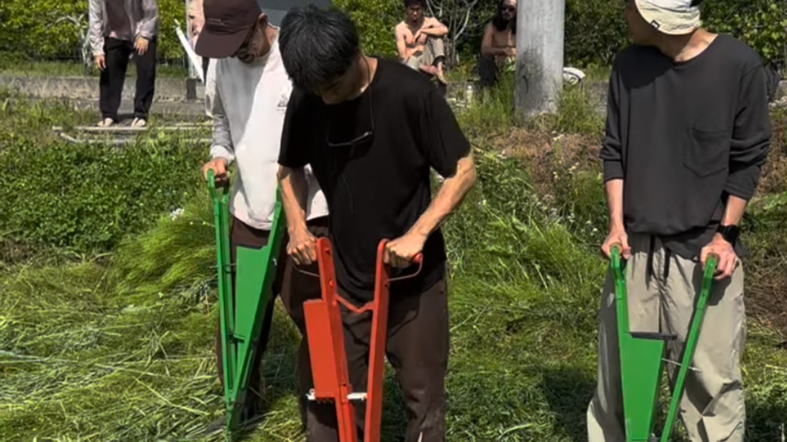 仲間とともに畑で作物を育てる様子